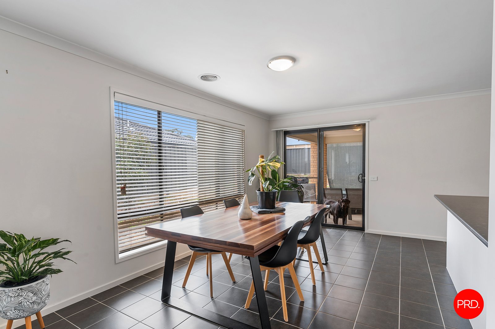 2 Lightwood Way JACKASS FLAT 6