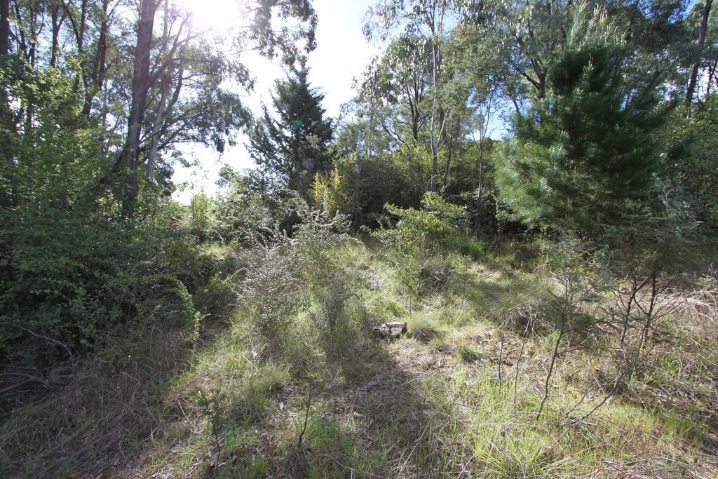 2 Lyne Street West  TUMBARUMBA 13