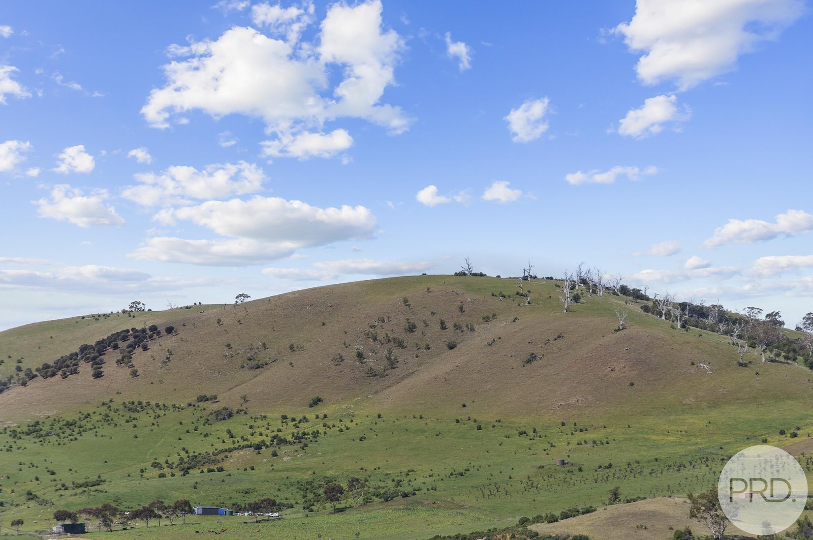 2 Martyn Place BRIGHTON 17