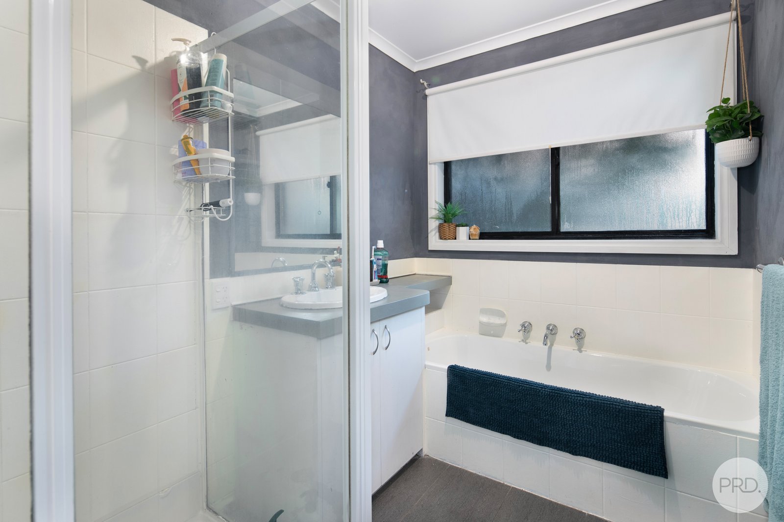 2 Matthew Court SEBASTOPOL 6