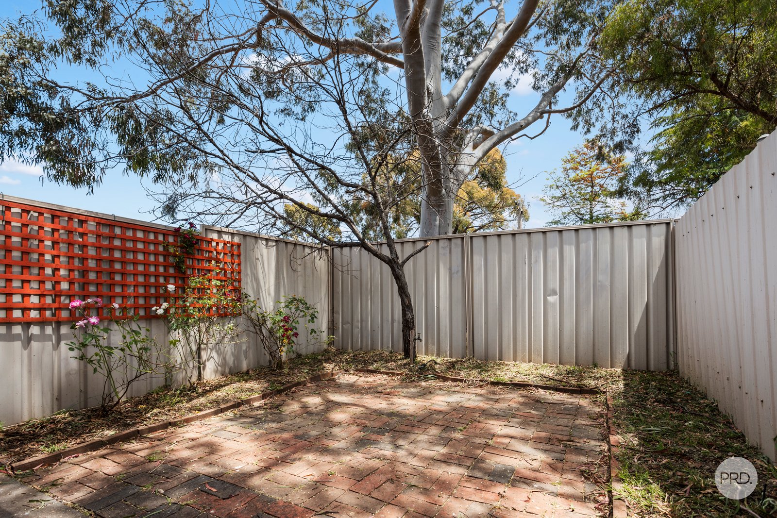 2 Minto Street QUARRY HILL 8