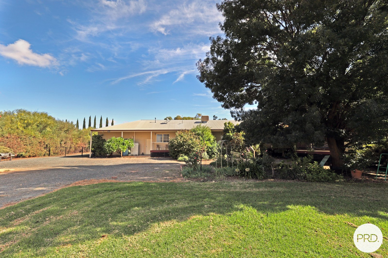 2 Morning Rise KOORLONG 23