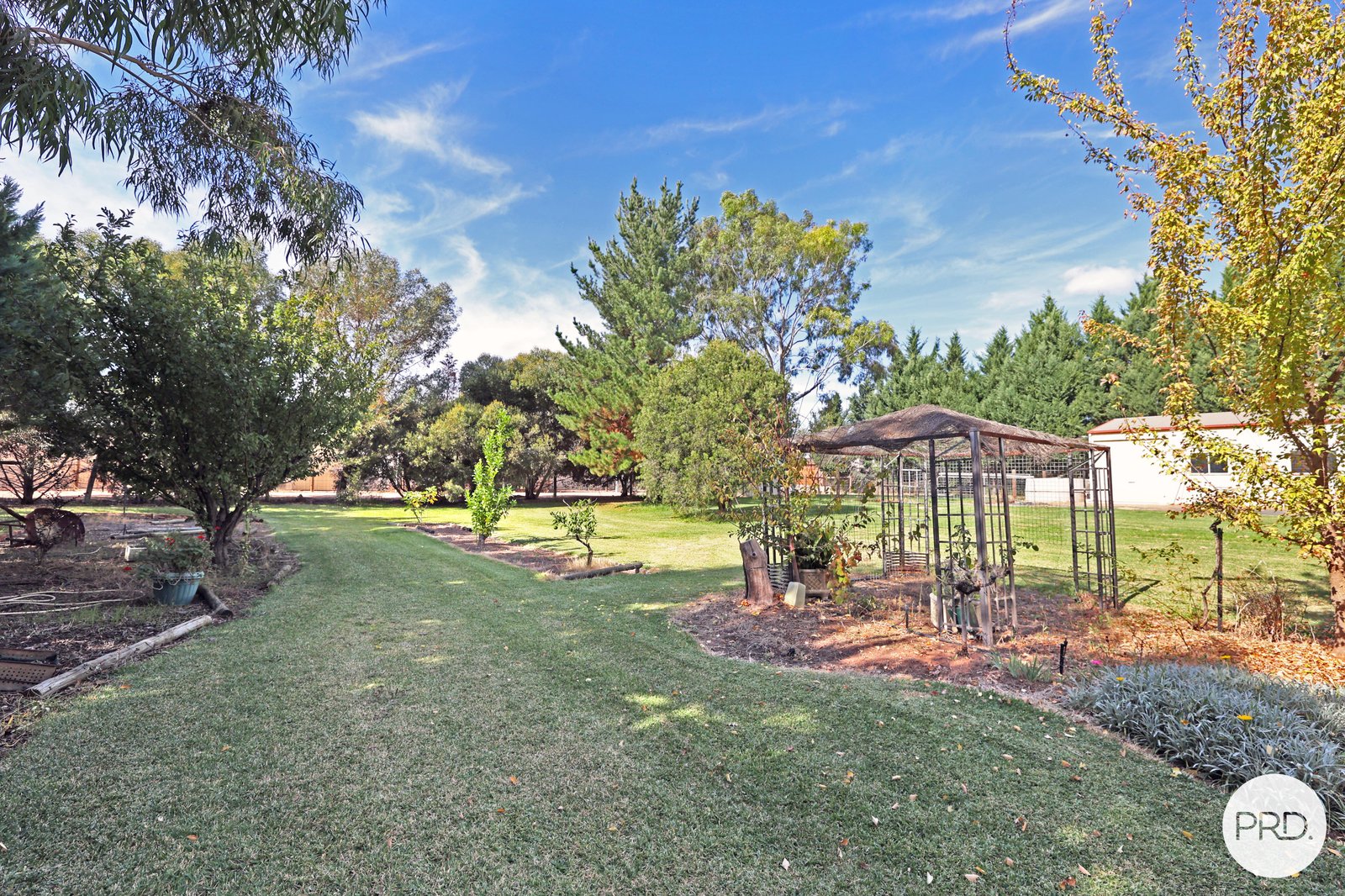 2 Morning Rise KOORLONG 29