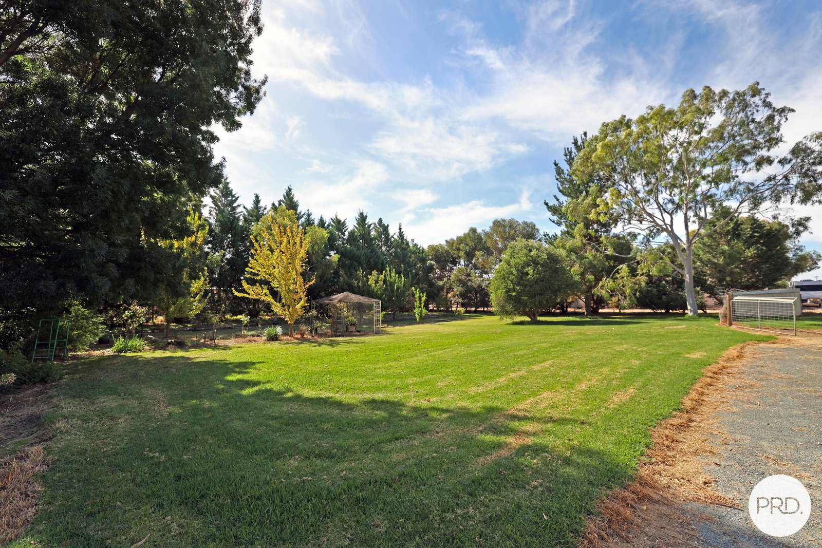 2 Morning Rise KOORLONG 30