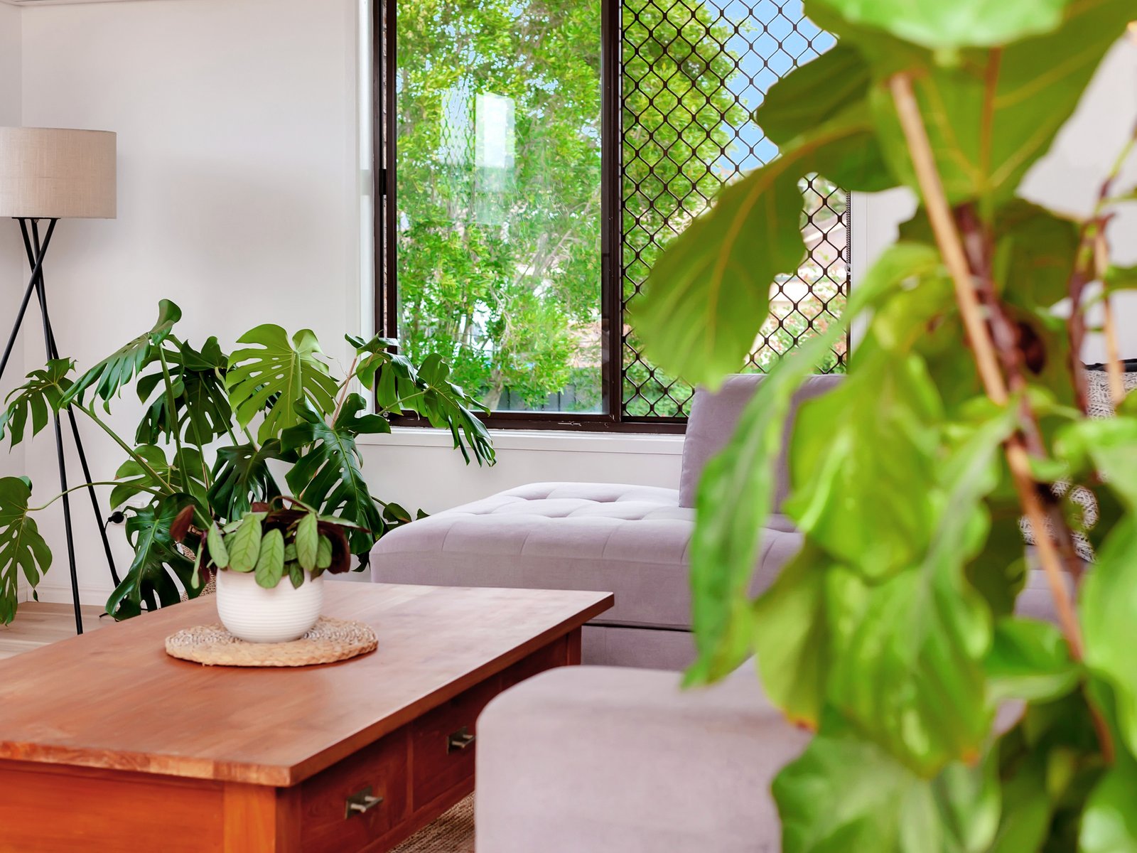 2 Oakland Court BURLEIGH WATERS 14