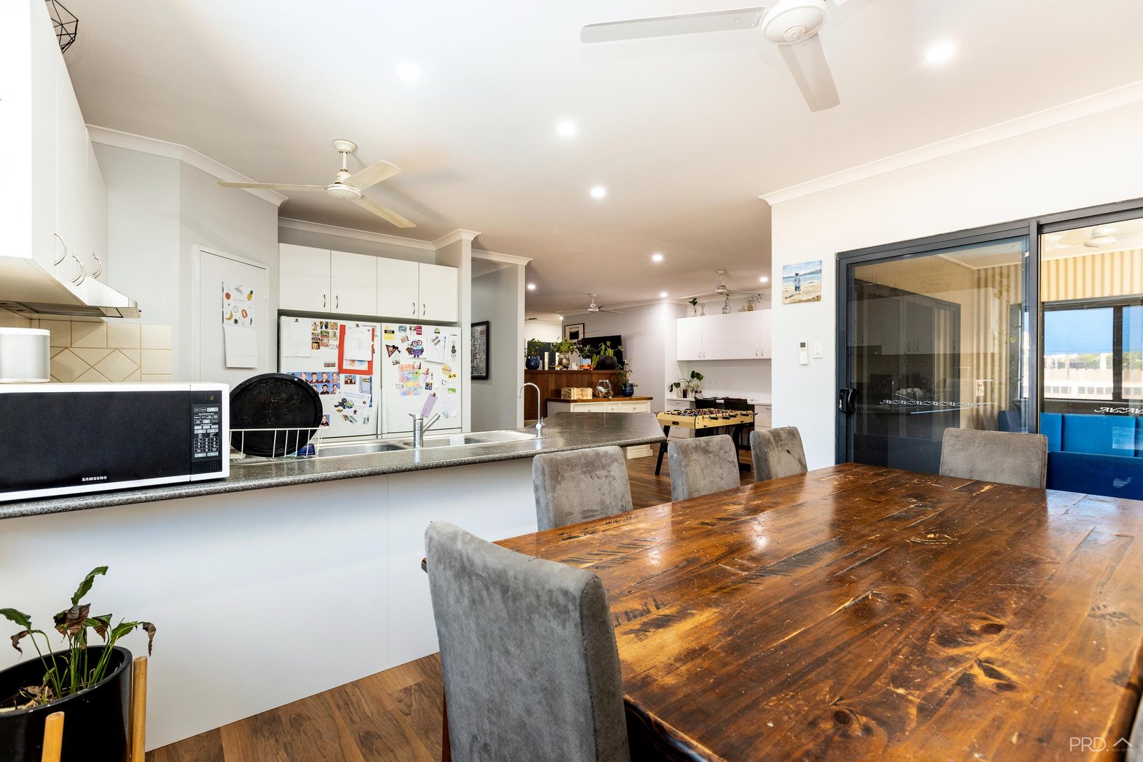 2 Planigale Loop DJUGUN 10