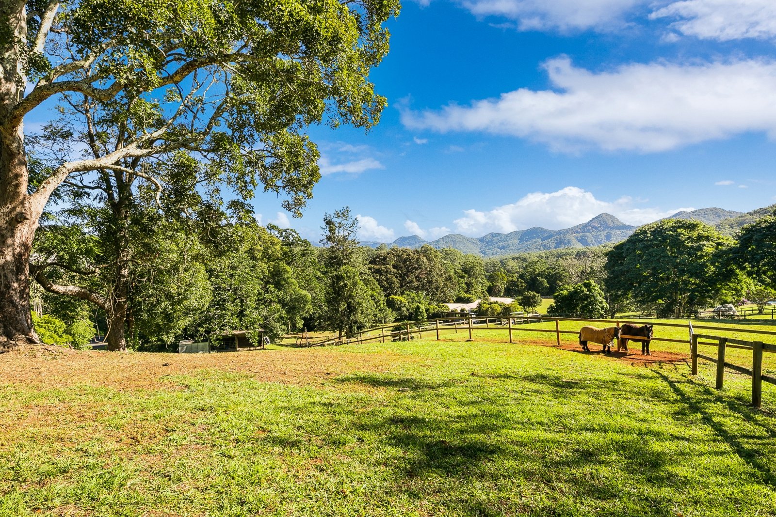 2 Ranch Court TALLEBUDGERA VALLEY 1