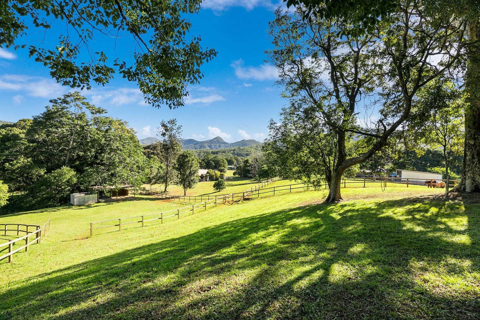 2 Ranch Court TALLEBUDGERA VALLEY 11