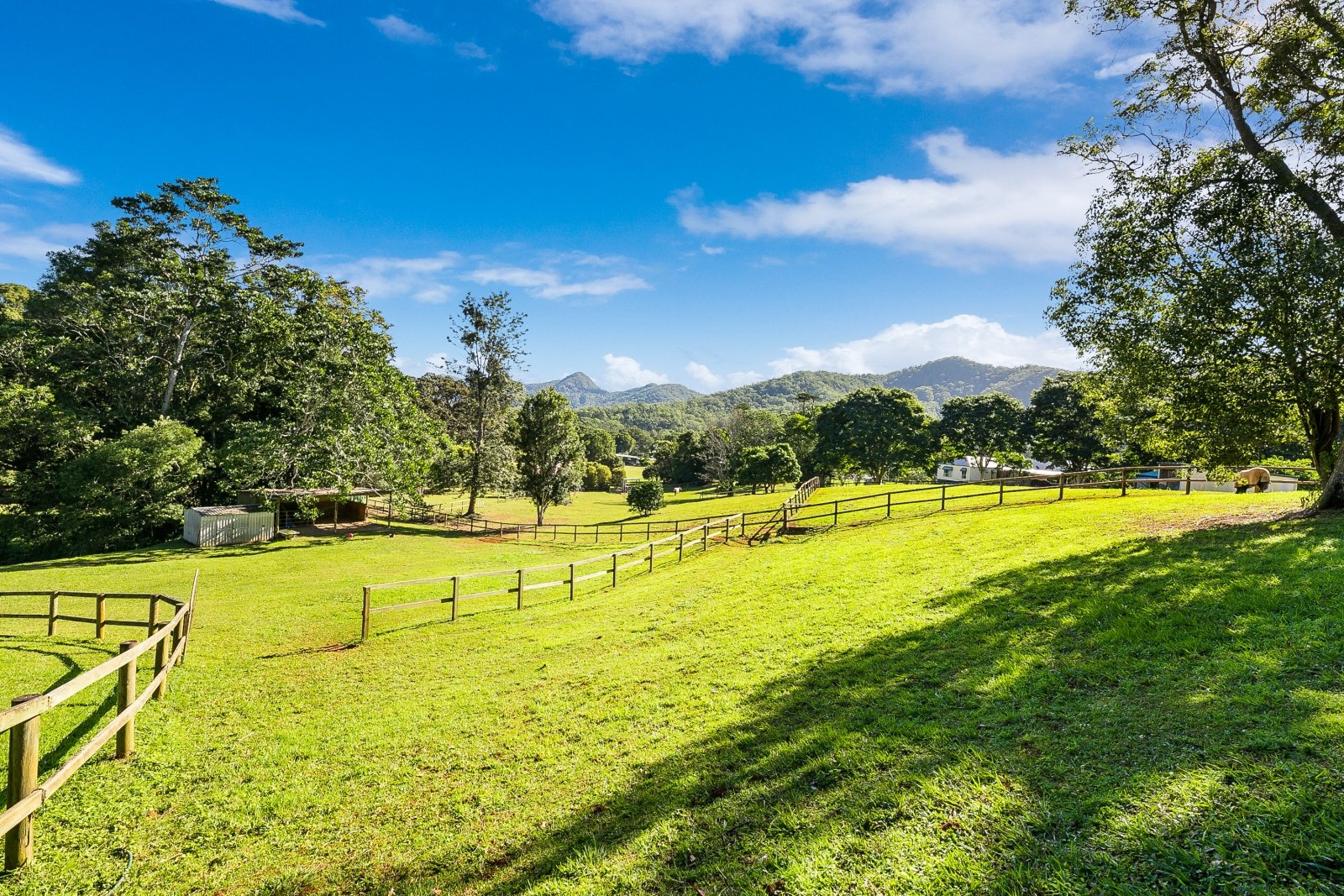 2 Ranch Court TALLEBUDGERA VALLEY 12