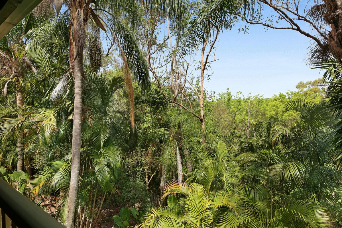 2 Ronelle Court TALLEBUDGERA 31