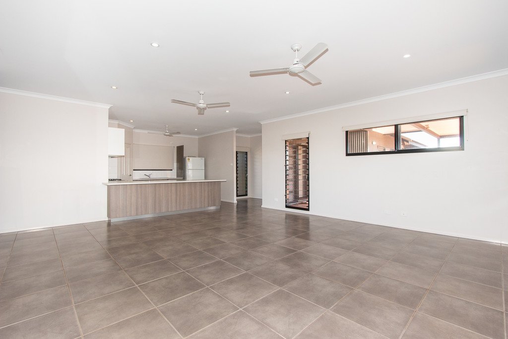 2 Shiosaki Brace  BILINGURR 2