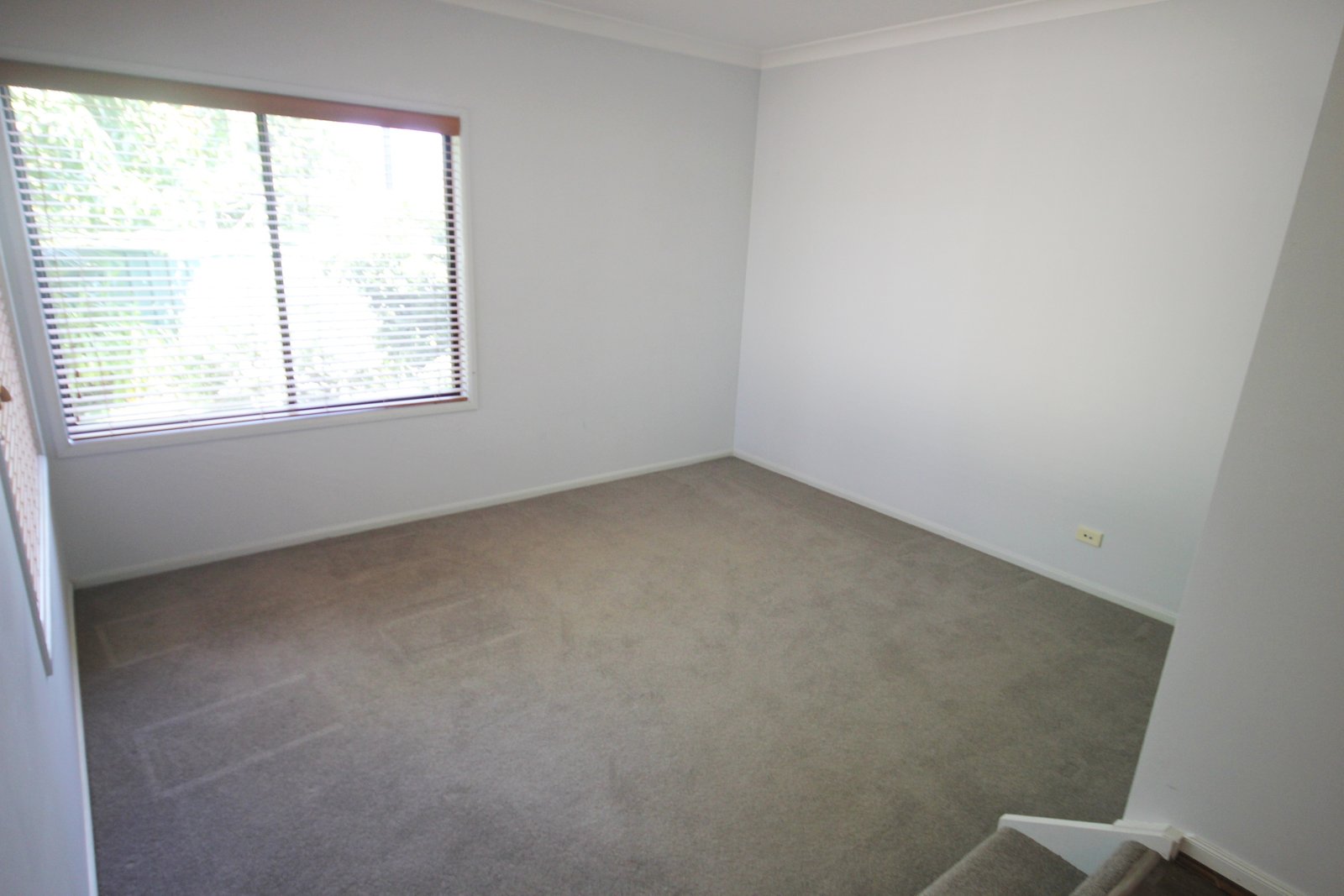 2 Tanner Avenue CARLTON 14