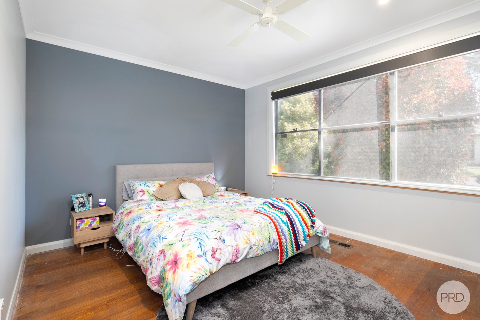 2 Warreen Street SEBASTOPOL 4