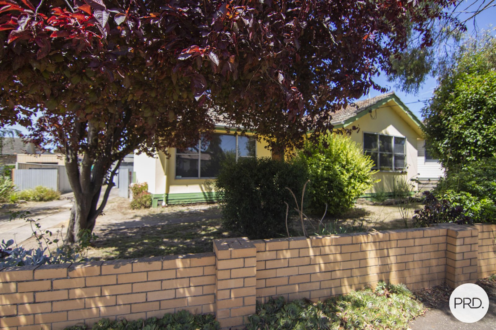 2 Warreen Street SEBASTOPOL 12