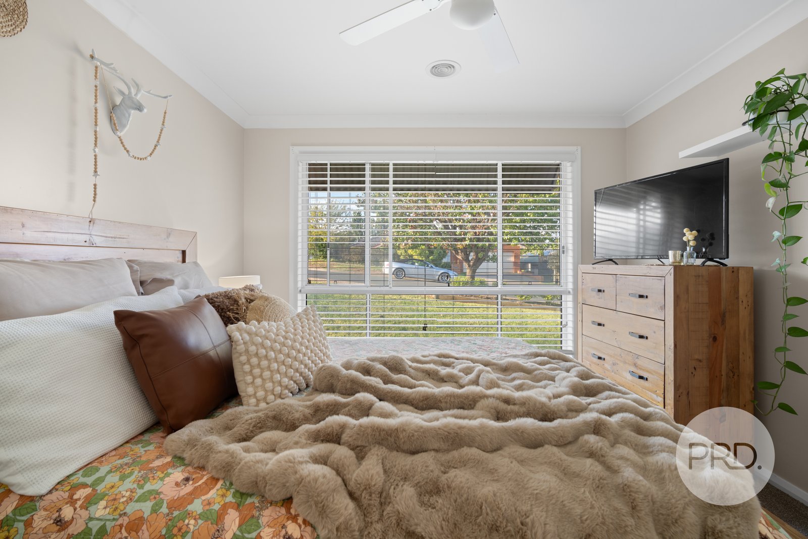 2 Wilton Street BOURKELANDS 3