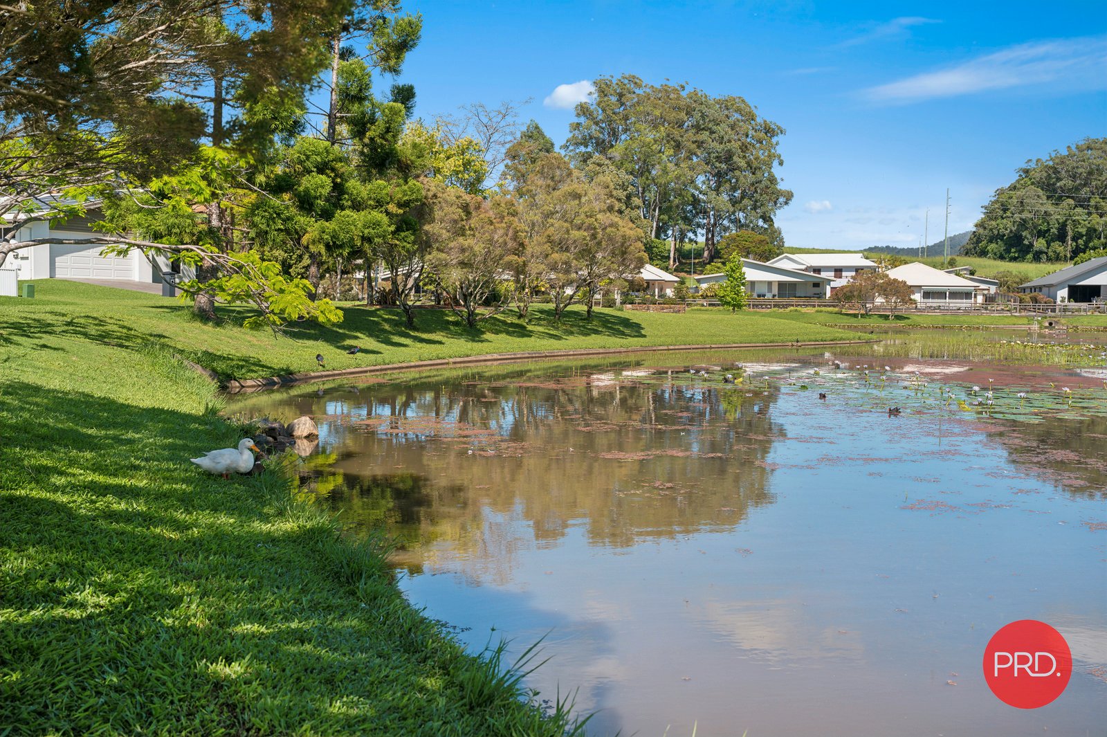 2 Windamere Way NORTH BOAMBEE VALLEY 31