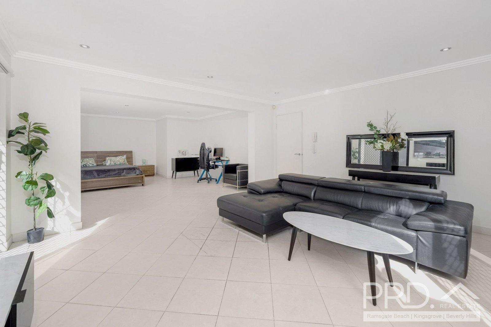 20 & 20A Armitree Street KINGSGROVE 10