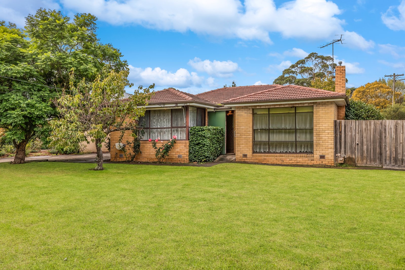 Gallery: 20 Akuna Avenue
