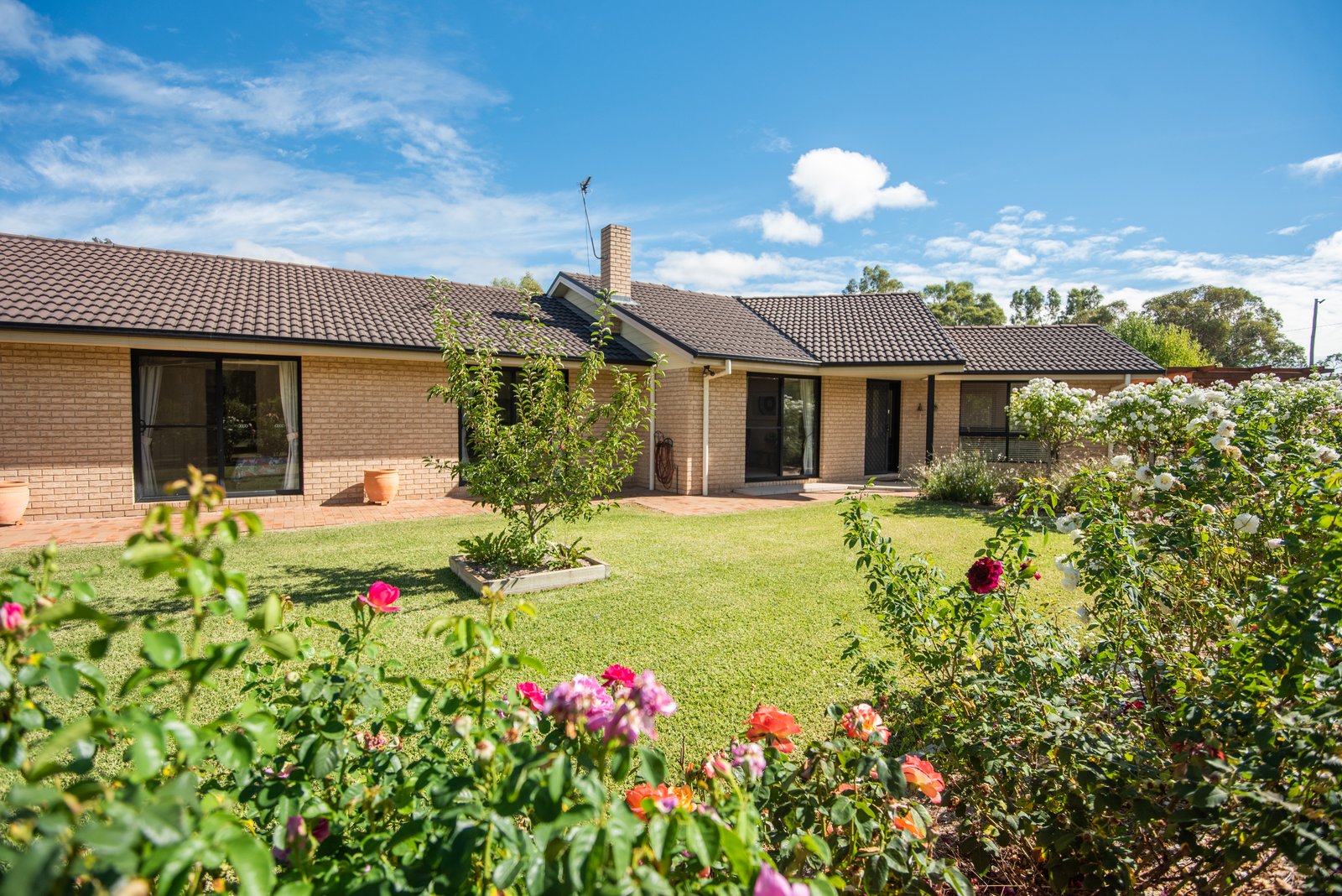 20 Alford Street CURRABUBULA 1