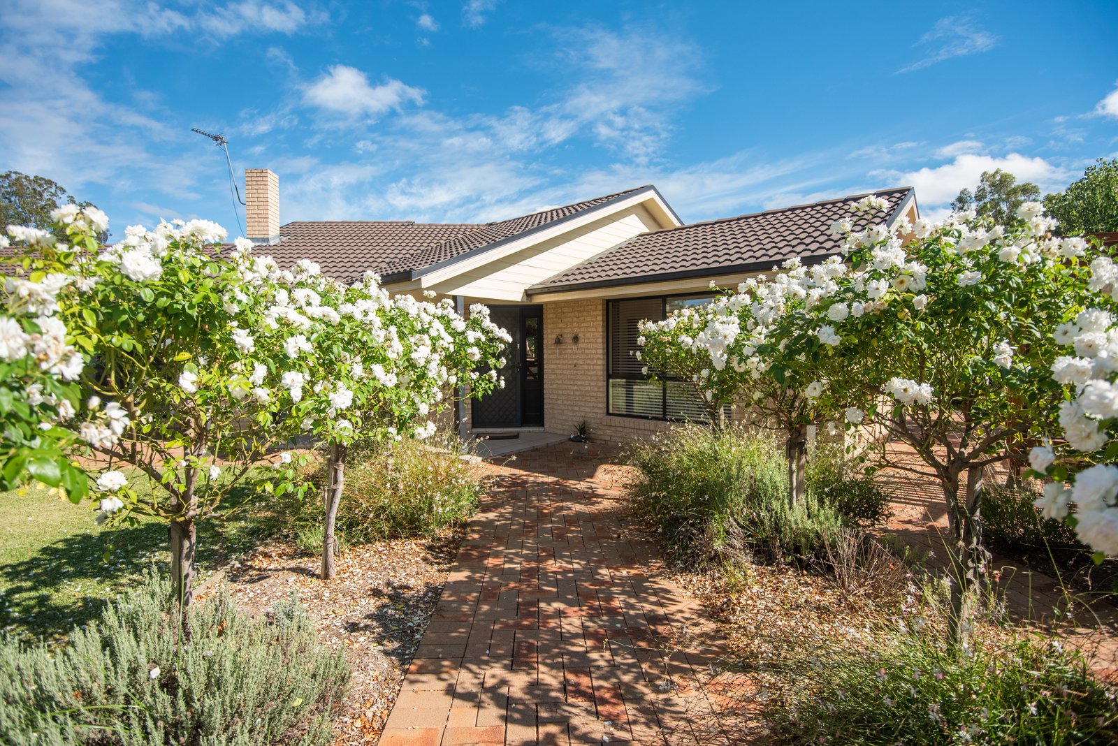 20 Alford Street CURRABUBULA 2