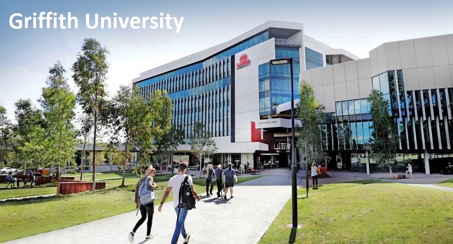 20 Allspice Drive ASHMORE 29