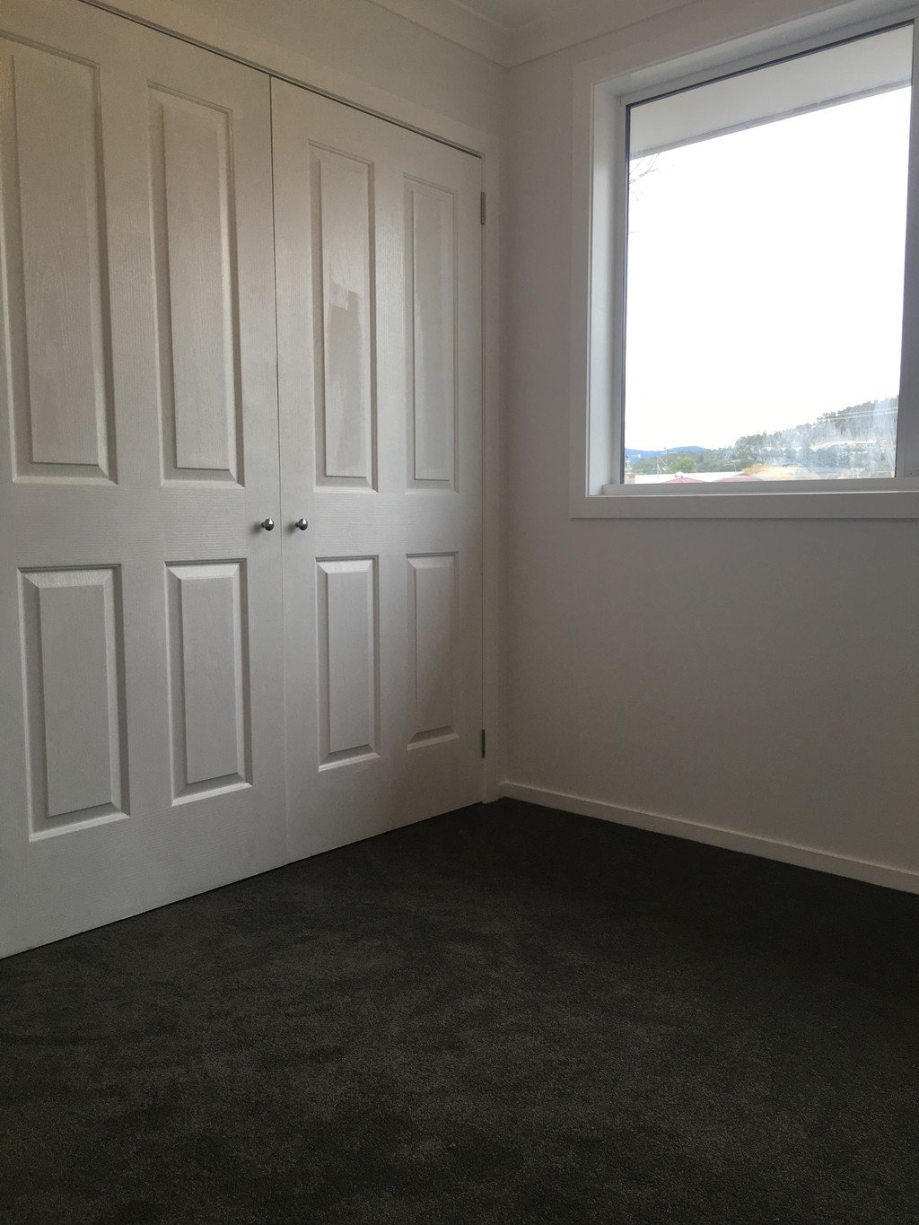 20 Andrew Street NEW NORFOLK 4