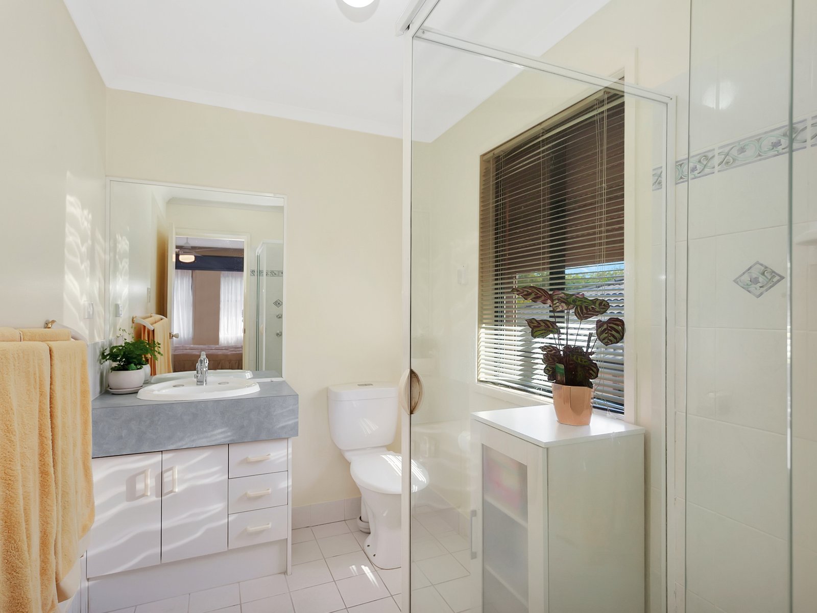 20 Ardisia Court BURLEIGH HEADS 15