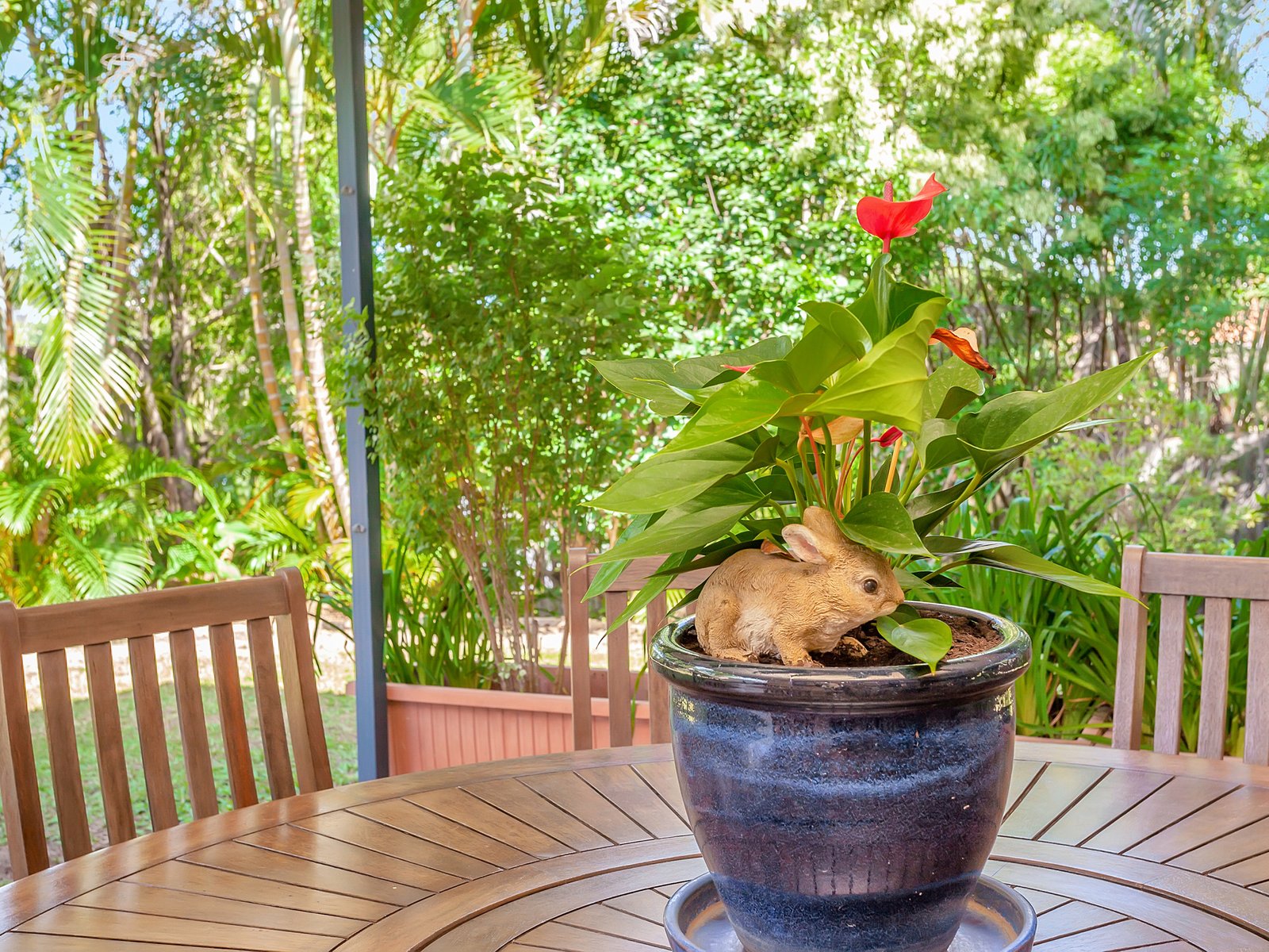 20 Ardisia Court BURLEIGH HEADS 19