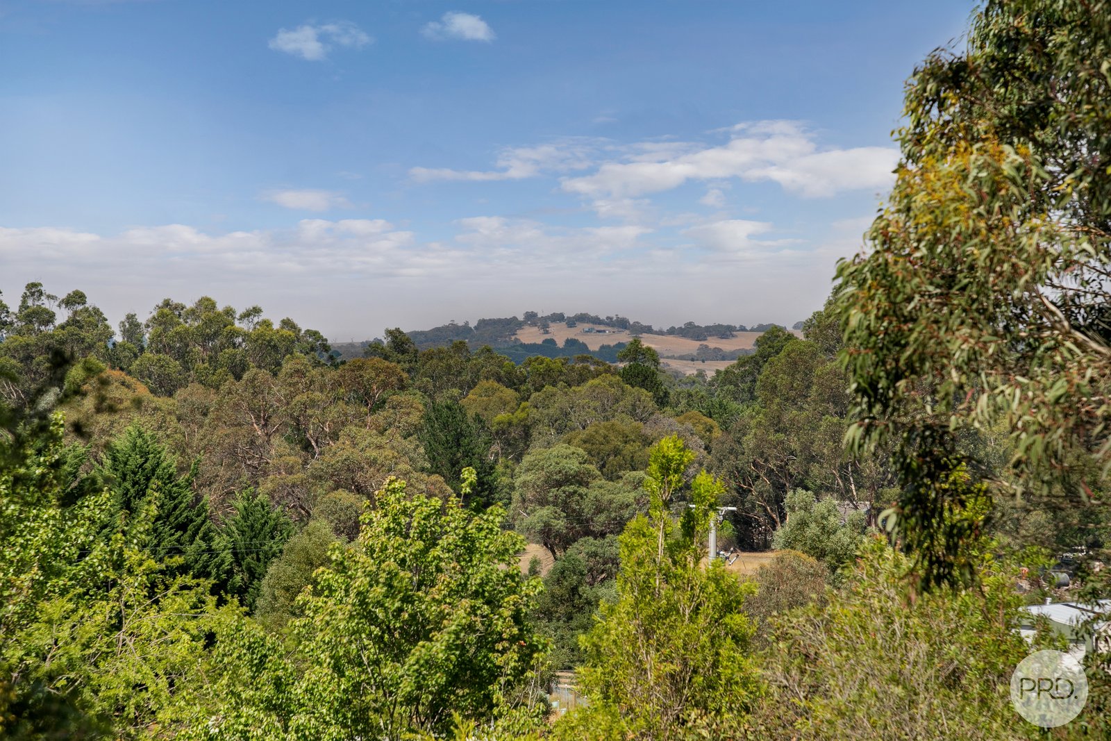 20 Banksia Court LINTON 21