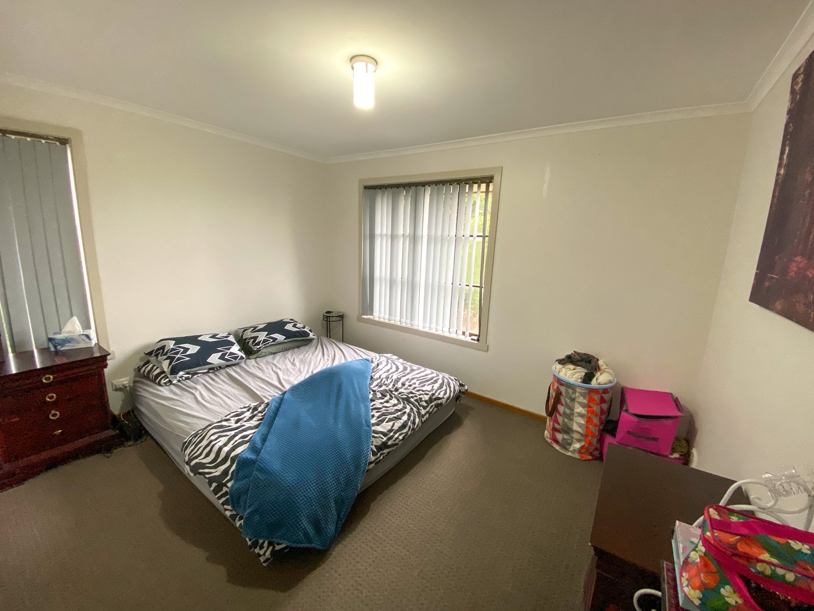 20 Battersby Drive CLAREMONT 7