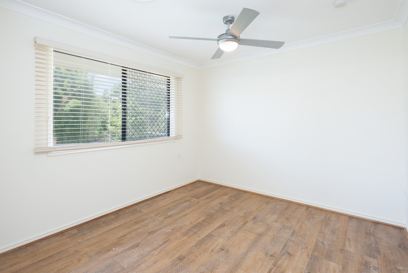 20 BEITZ Avenue LABRADOR 20