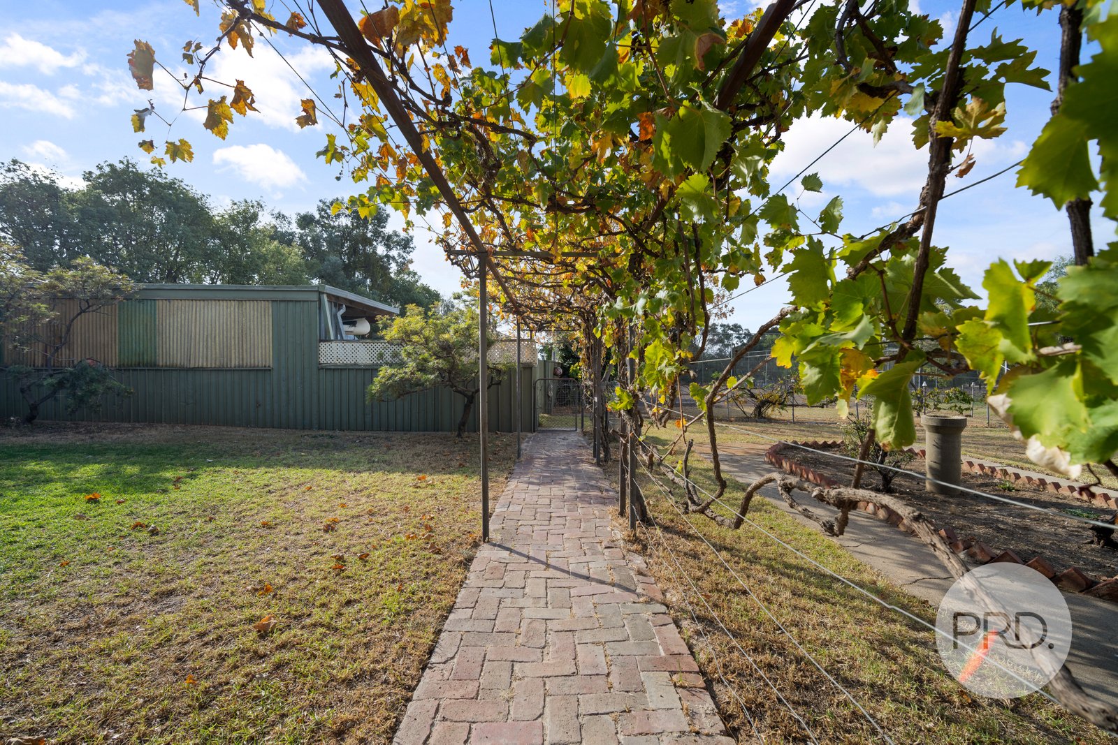 20 Benedict Avenue SAN ISIDORE 24