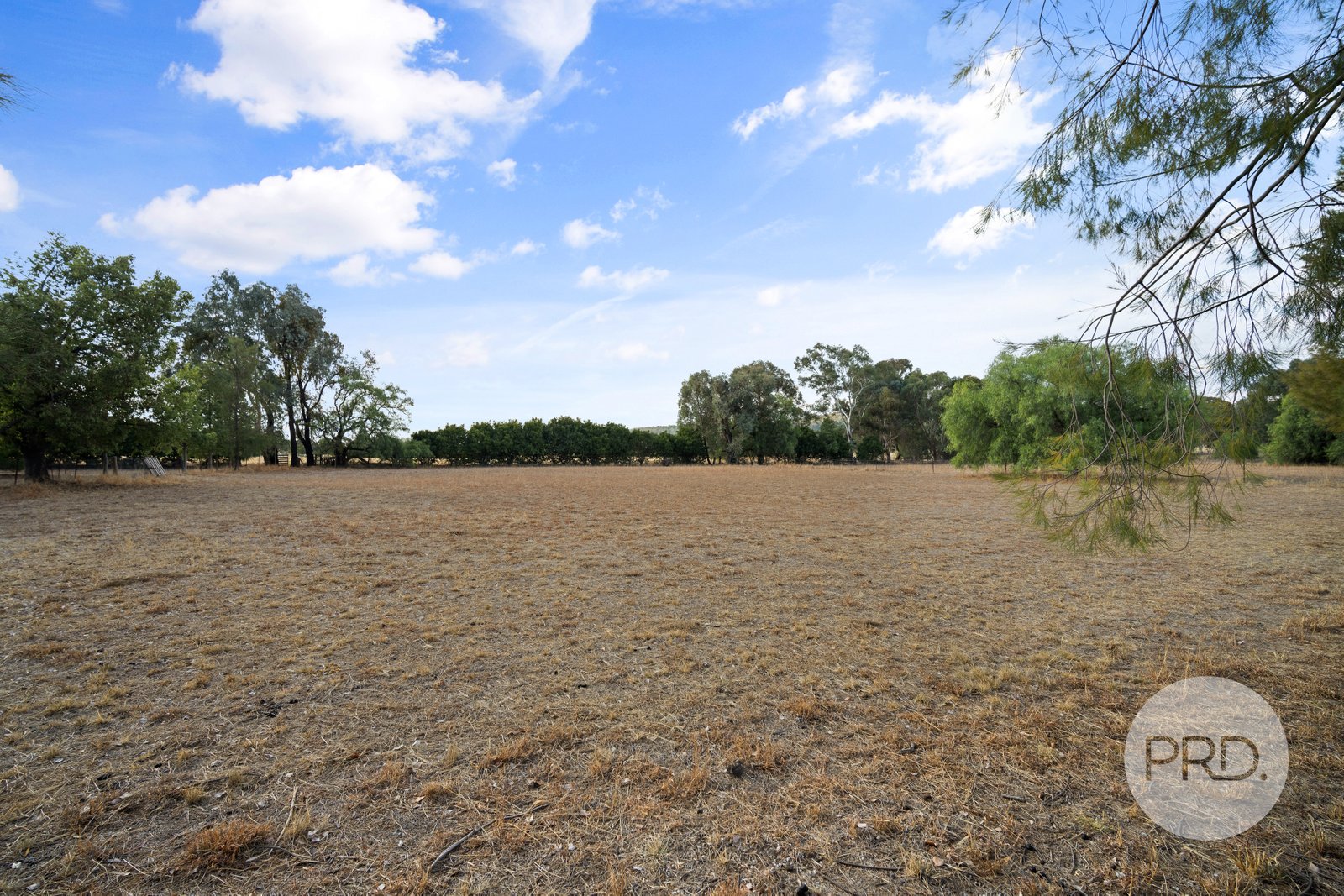 20 Benedict Avenue SAN ISIDORE 31