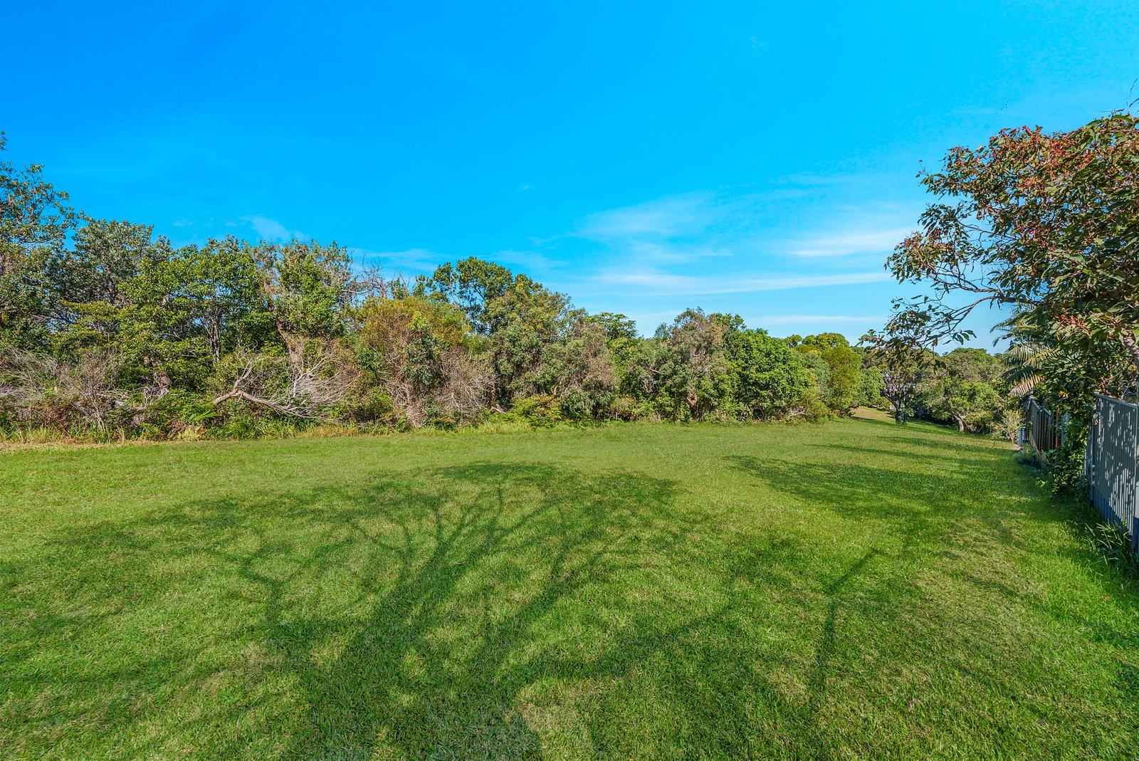 20 Bergalia Crescent CAMDEN HEAD 18