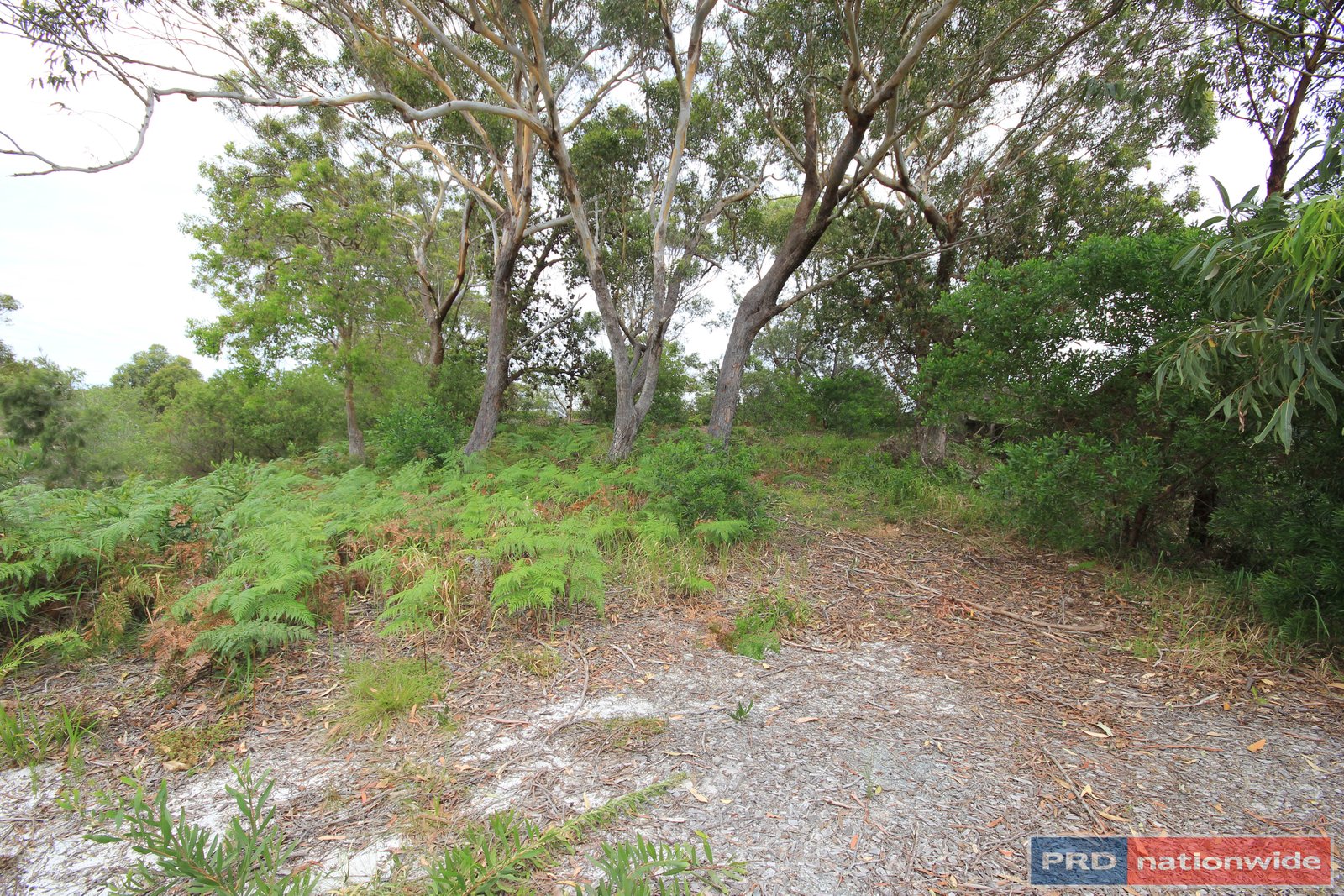 20 Birramal Drive DUNBOGAN 2