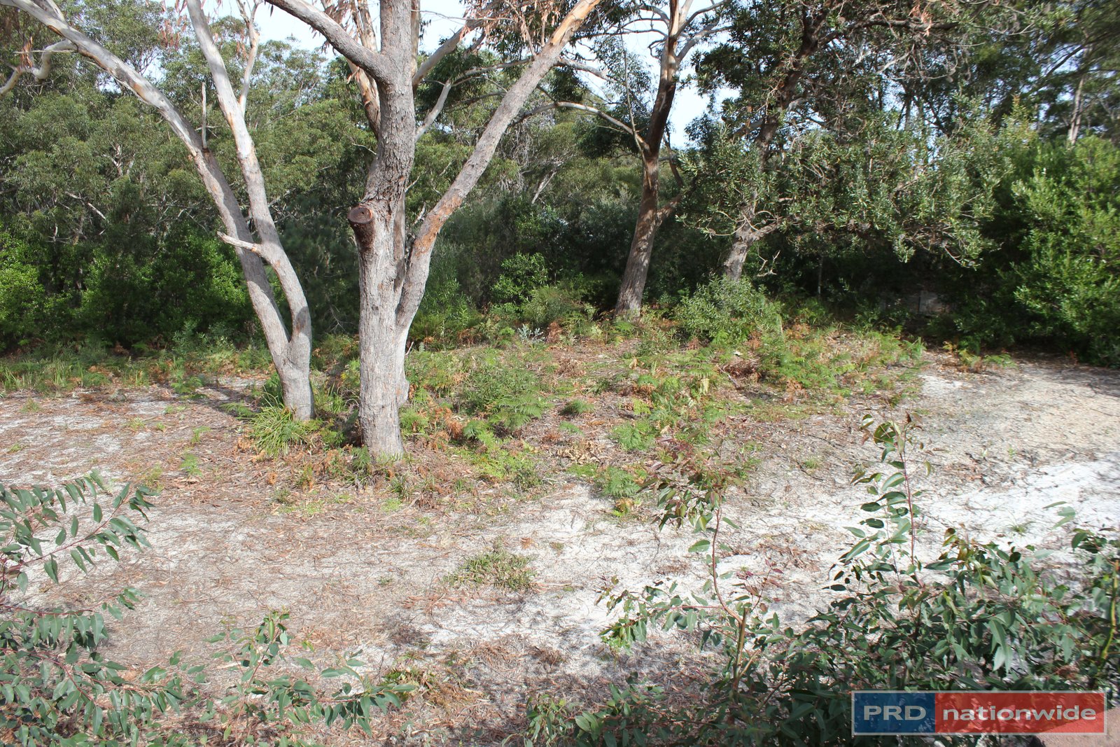 20 Birramal Drive DUNBOGAN 5