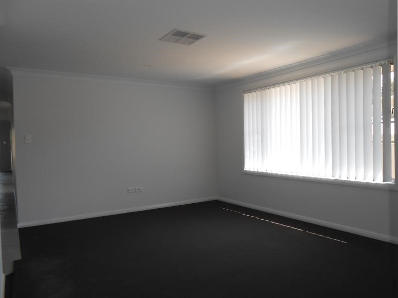 20 Borrowdale Close TAMWORTH 4