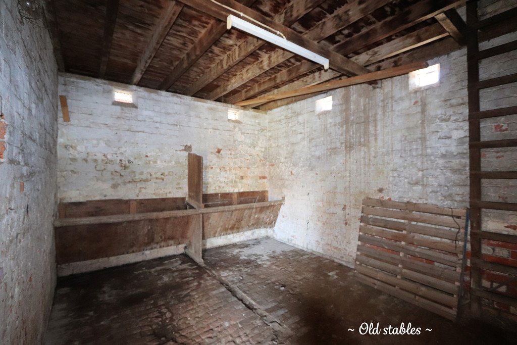 20 Bridge Street TUMBARUMBA 18