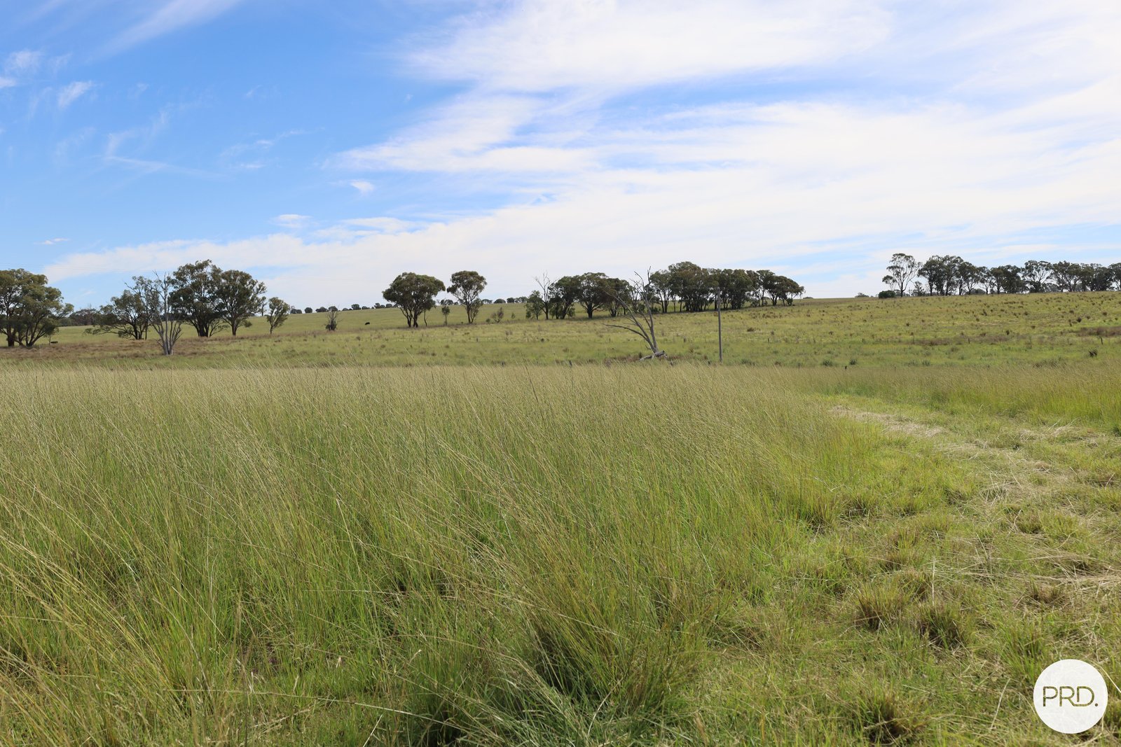 20 Burgoon Lane MOLONG 4