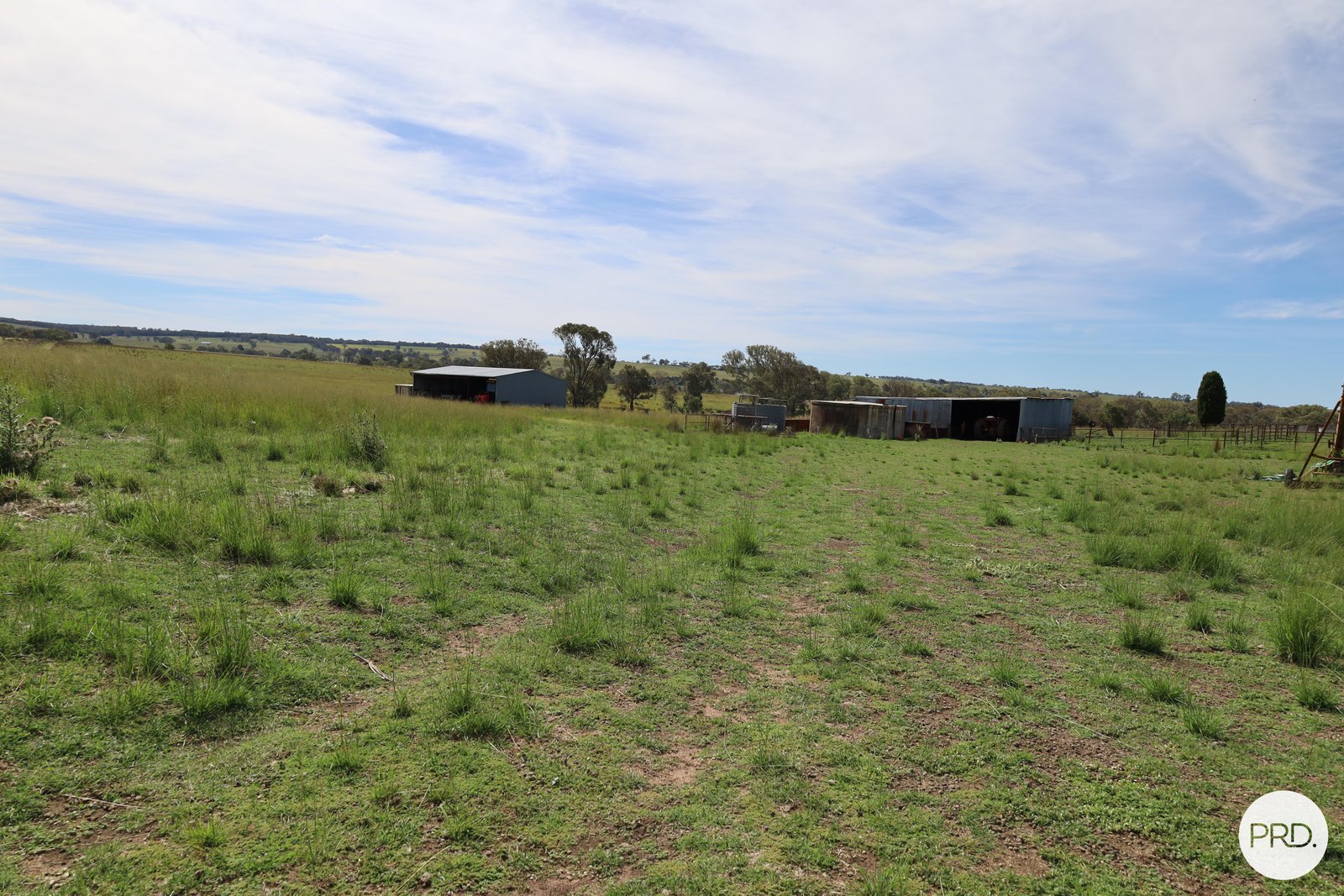 20 Burgoon Lane MOLONG 5