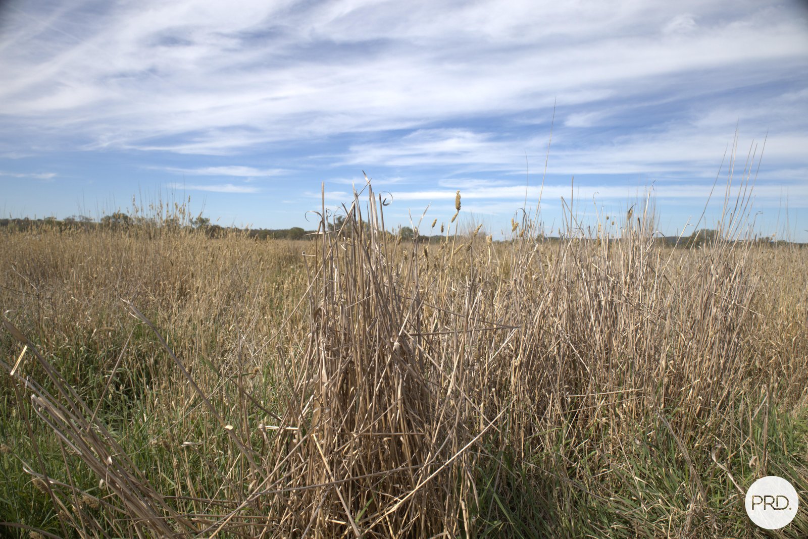 20 Burgoon Lane MOLONG 6