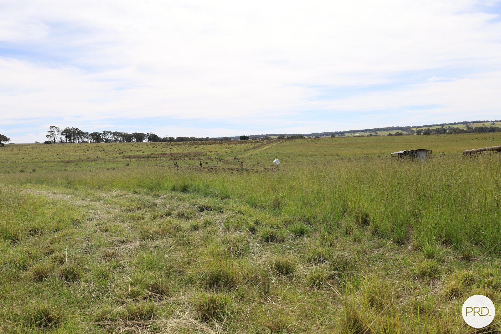 20 Burgoon Lane MOLONG 9