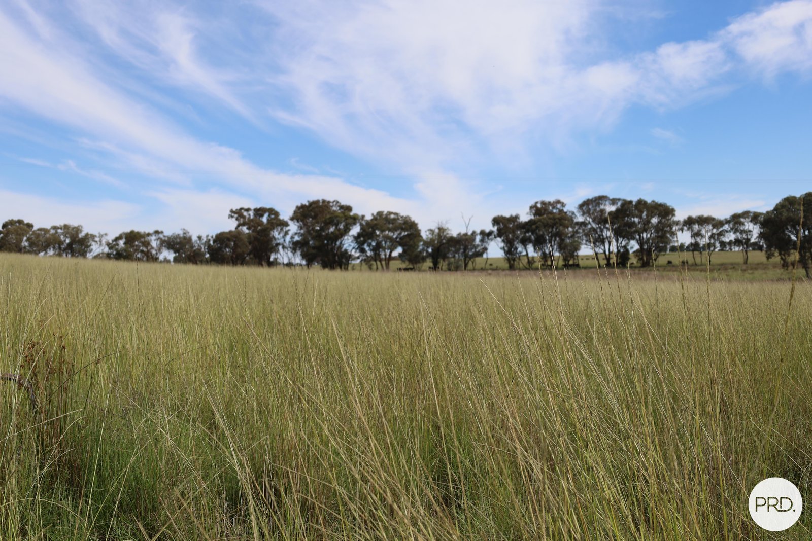 20 Burgoon Lane MOLONG 10