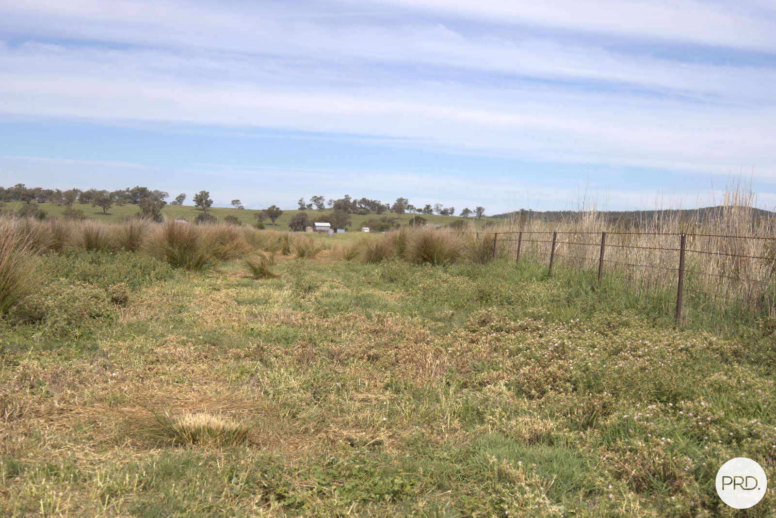 20 Burgoon Lane MOLONG 12