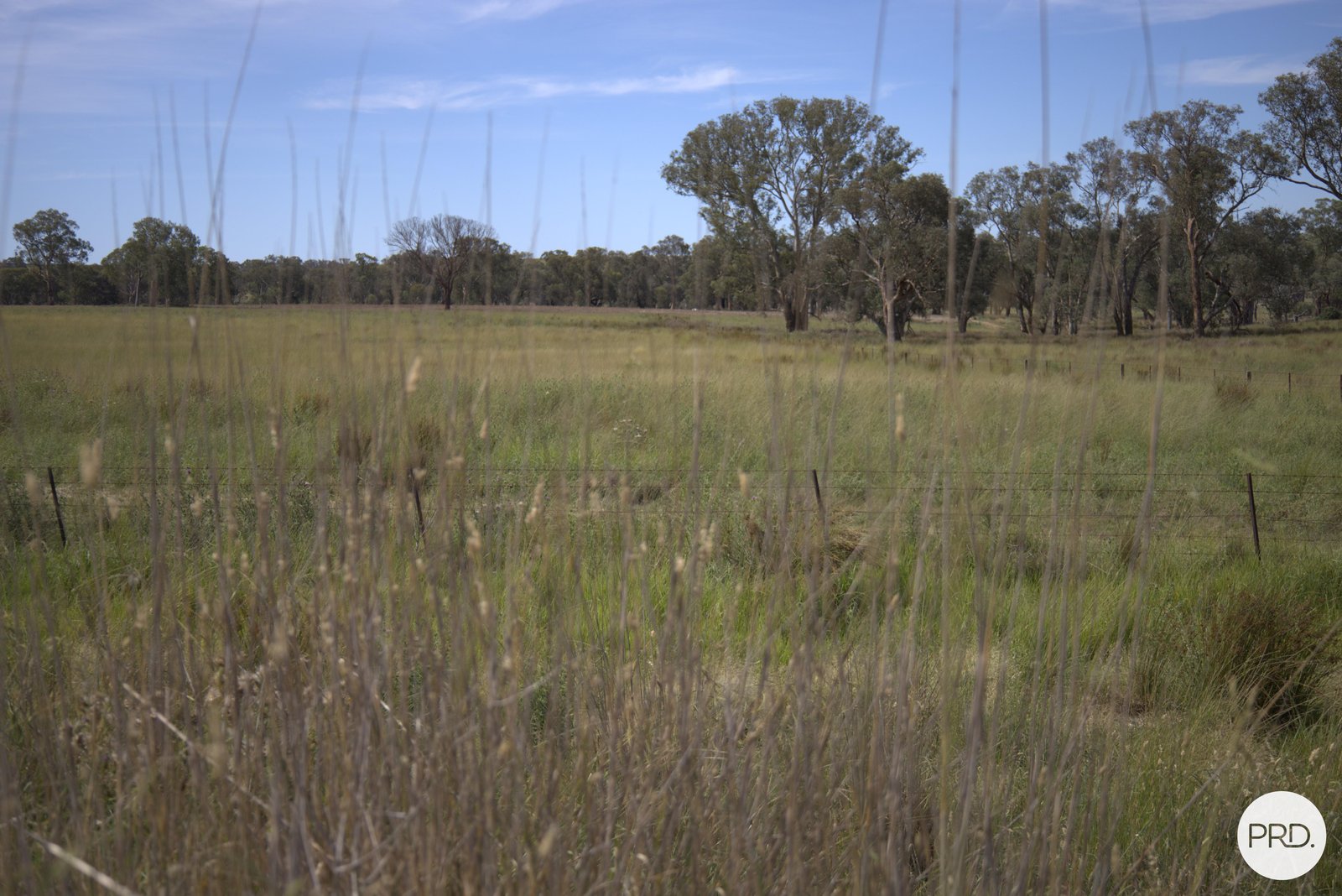 20 Burgoon Lane MOLONG 13