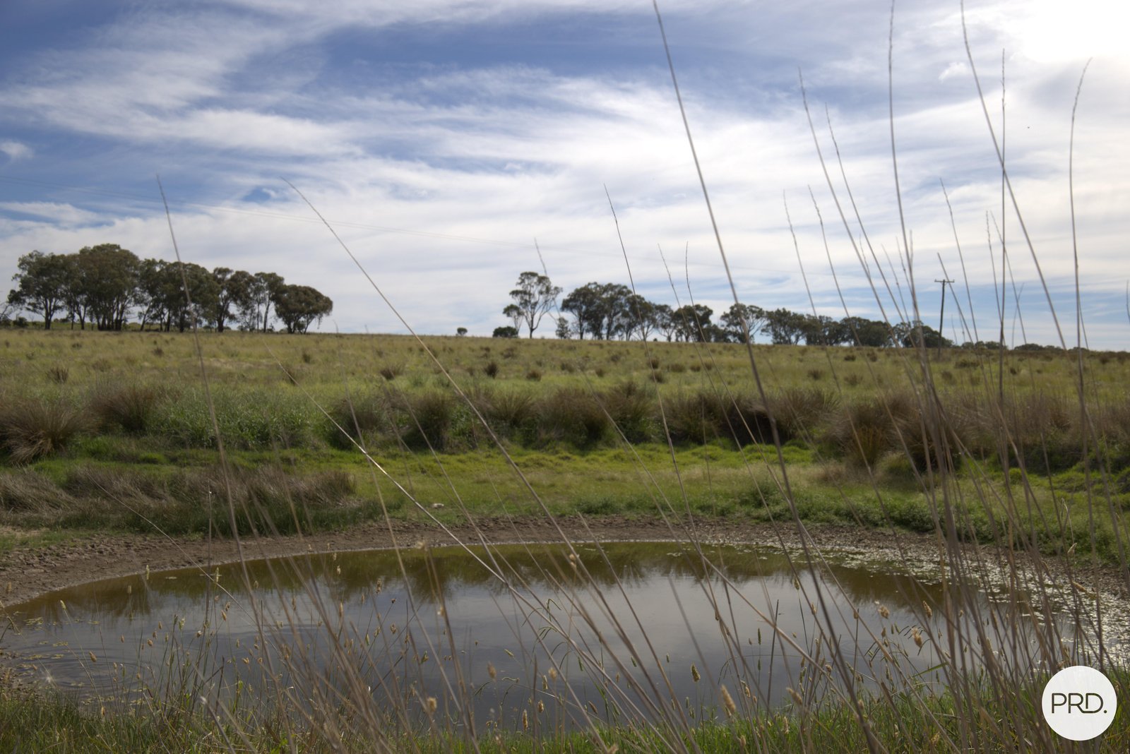 20 Burgoon Lane MOLONG 14