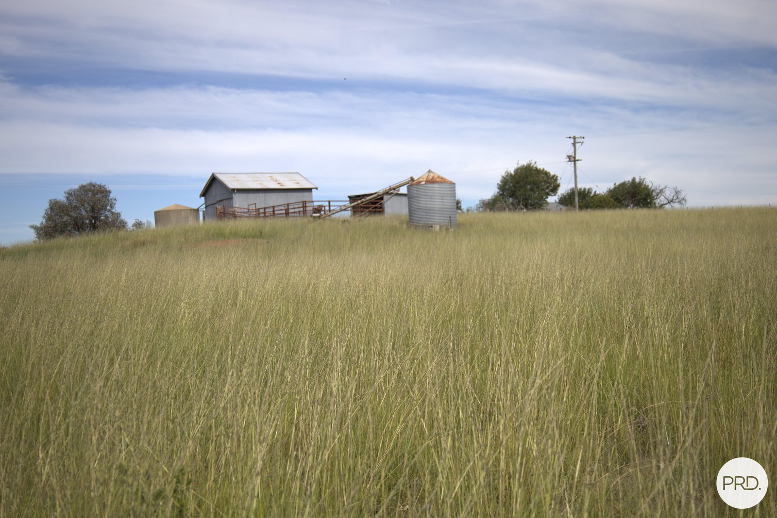 20 Burgoon Lane MOLONG 15