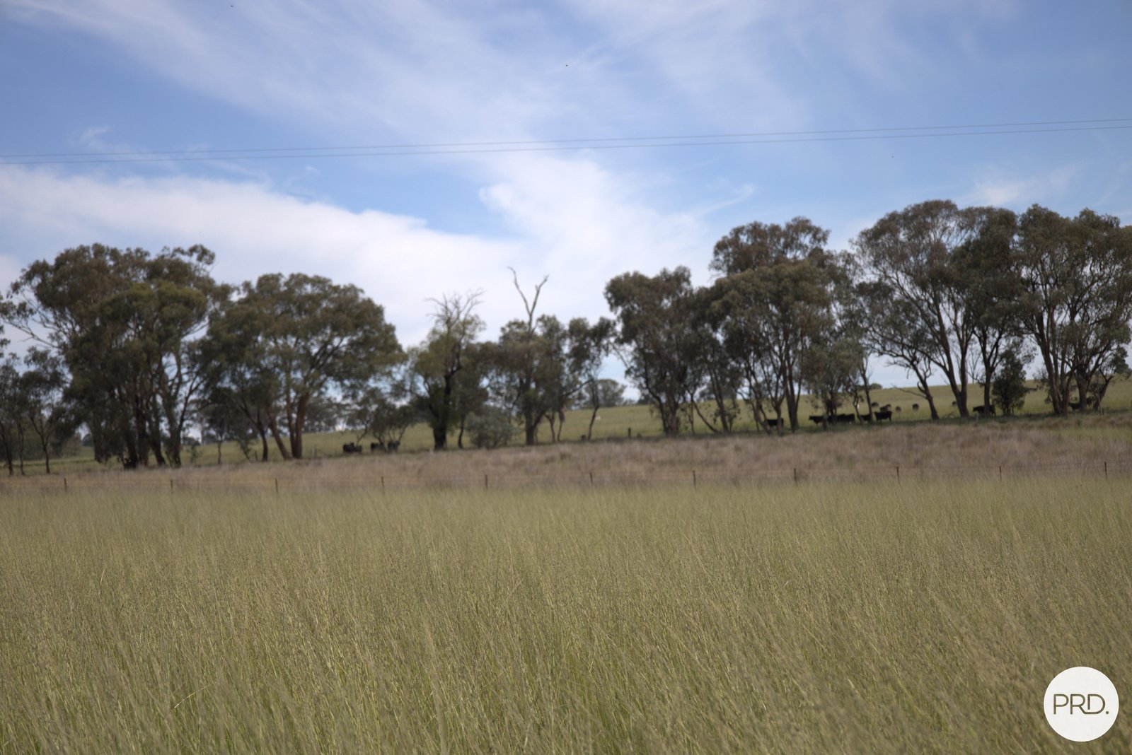 20 Burgoon Lane MOLONG 16