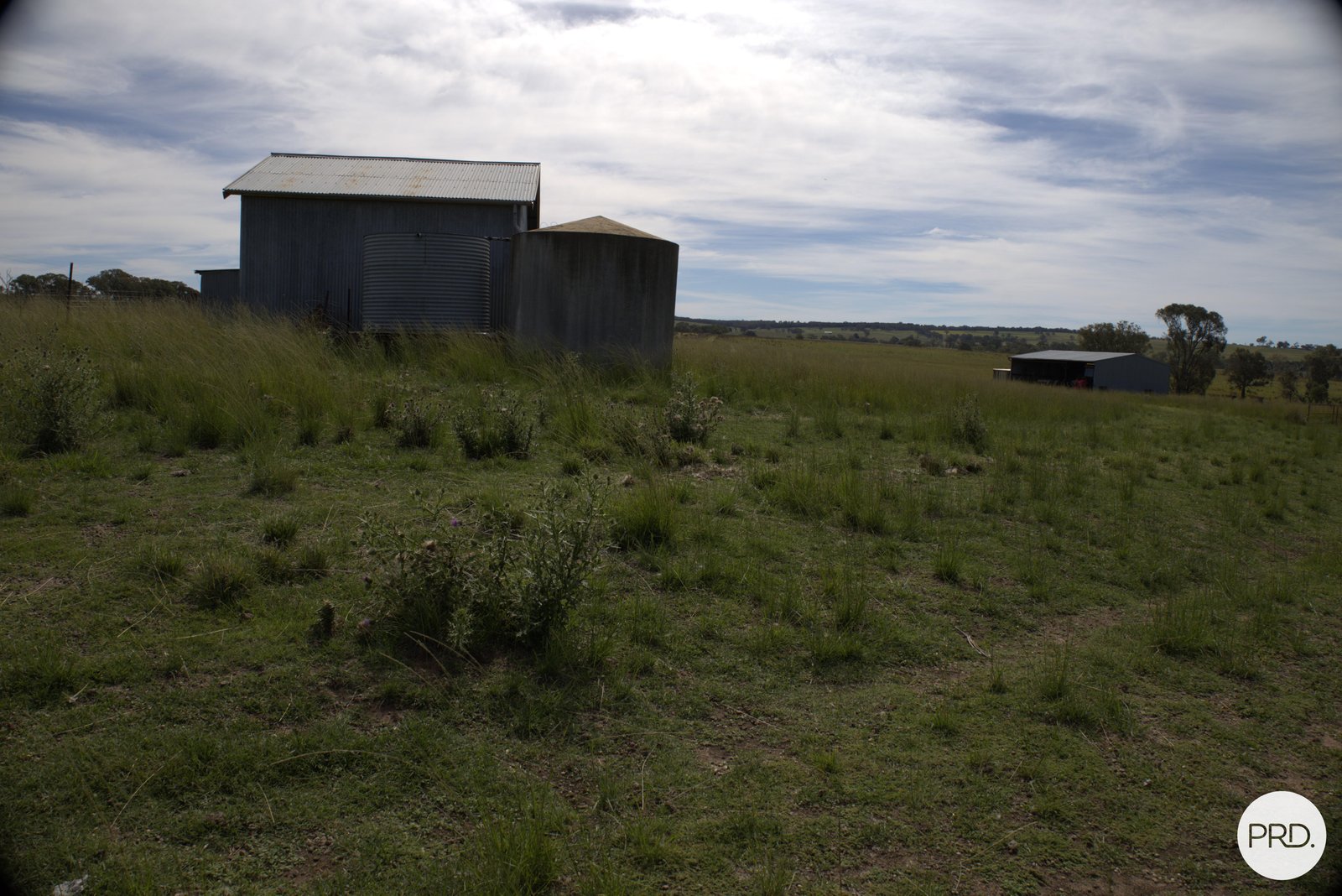 20 Burgoon Lane MOLONG 17