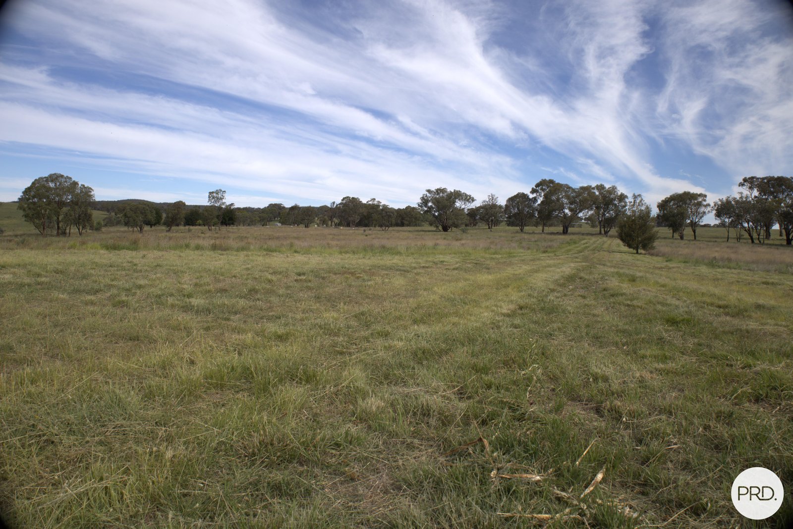 20 Burgoon Lane MOLONG 18